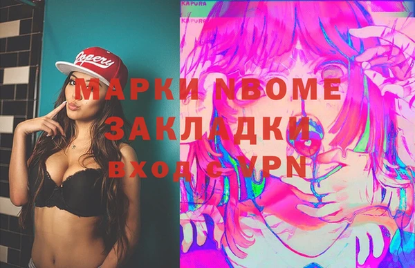 шишки Володарск
