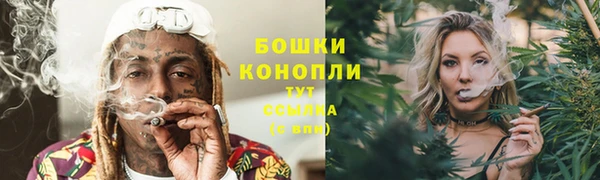шишки Володарск