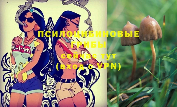 шишки Володарск