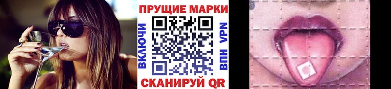 Купить  Кедровый  Марки NBOMe 1,5мг 